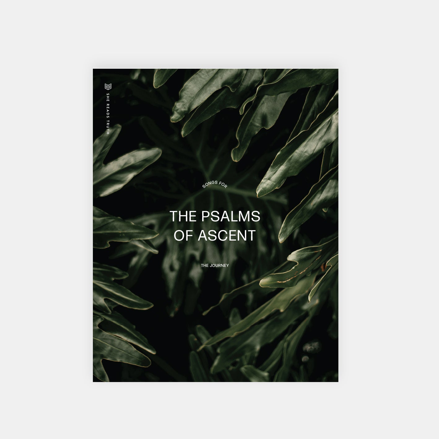 The Psalms of Ascent