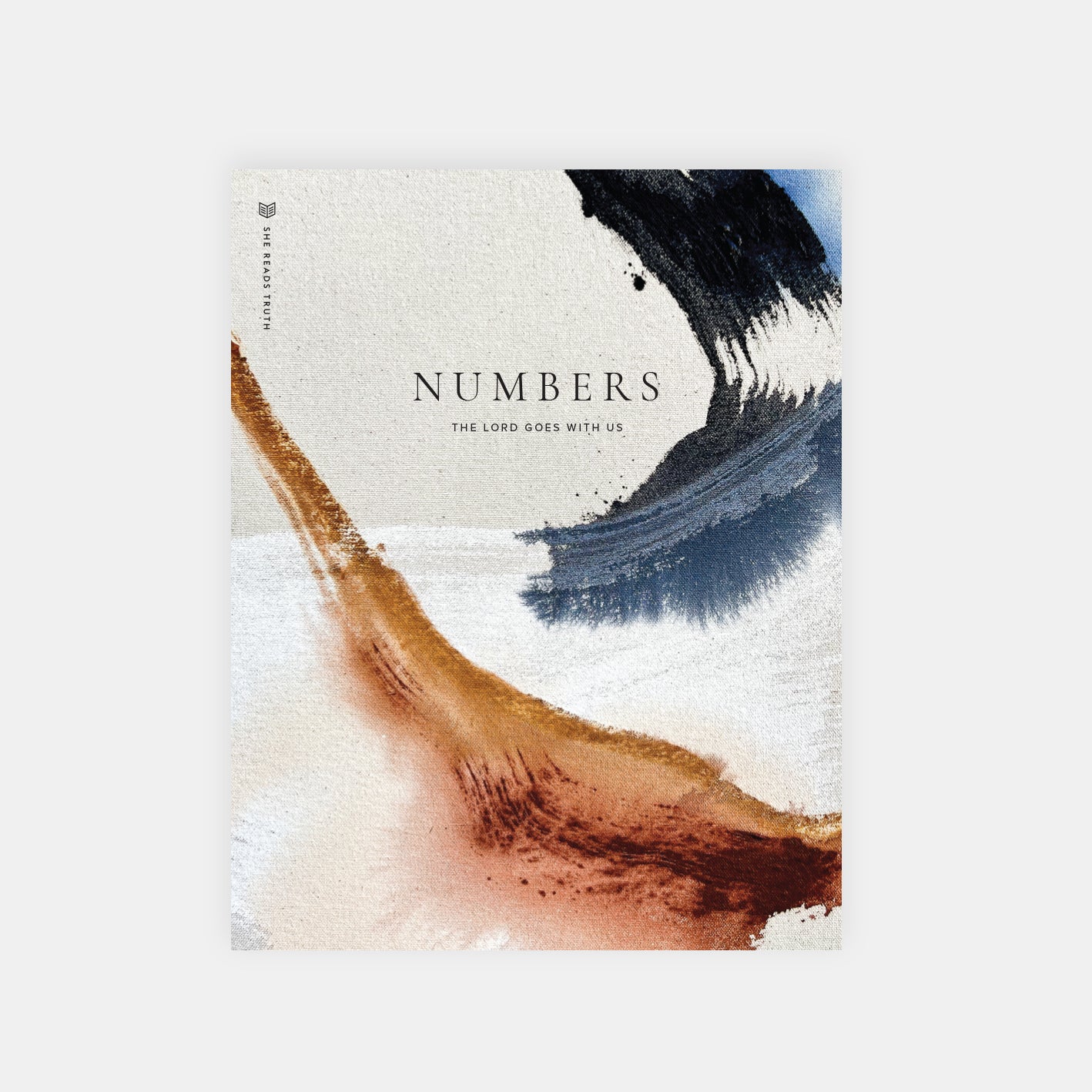 numbers bible reading plan