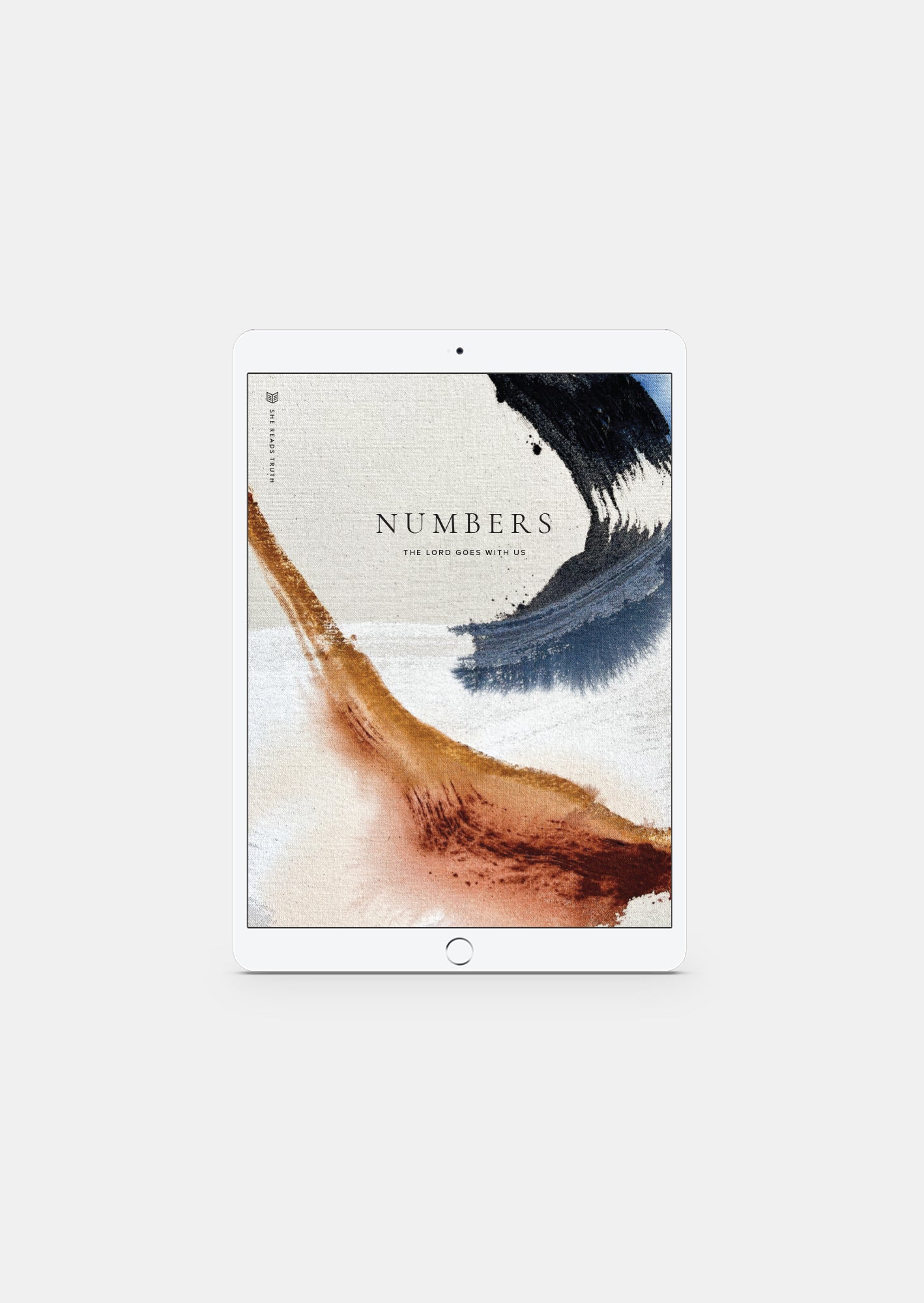 numbers bible reading plan