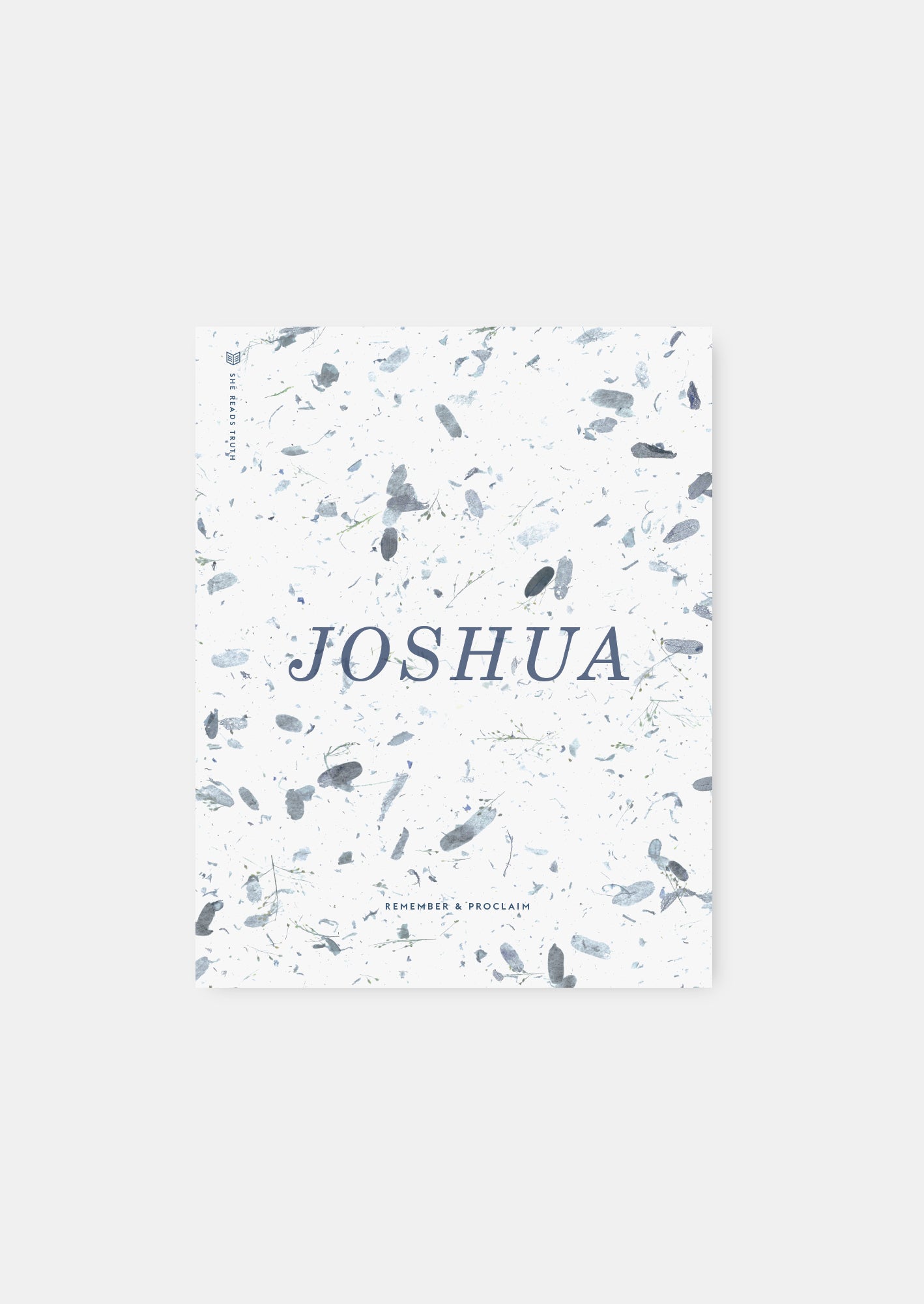 joshua women's bible reading plan